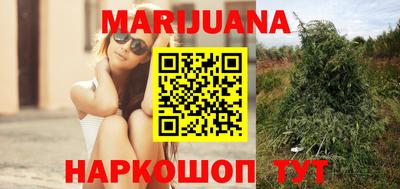 прущие грибы Коммунар